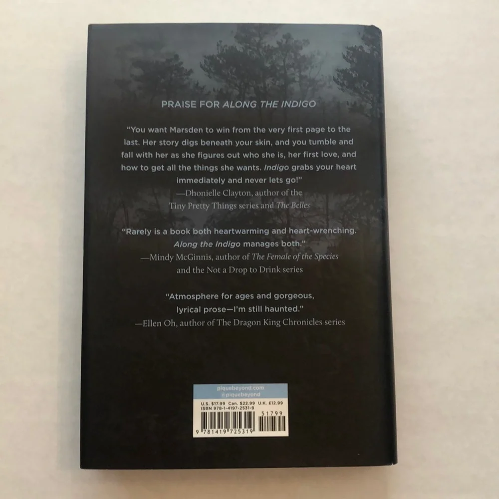 Along The Indigo by Elsie Chapman Hardcover Book